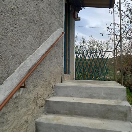 Casa Vita Lägenhet Vallebona Exteriör bild
