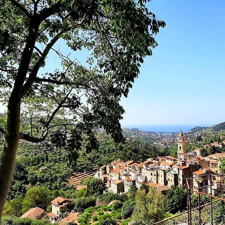 Casa Vita Lägenhet Vallebona Exteriör bild