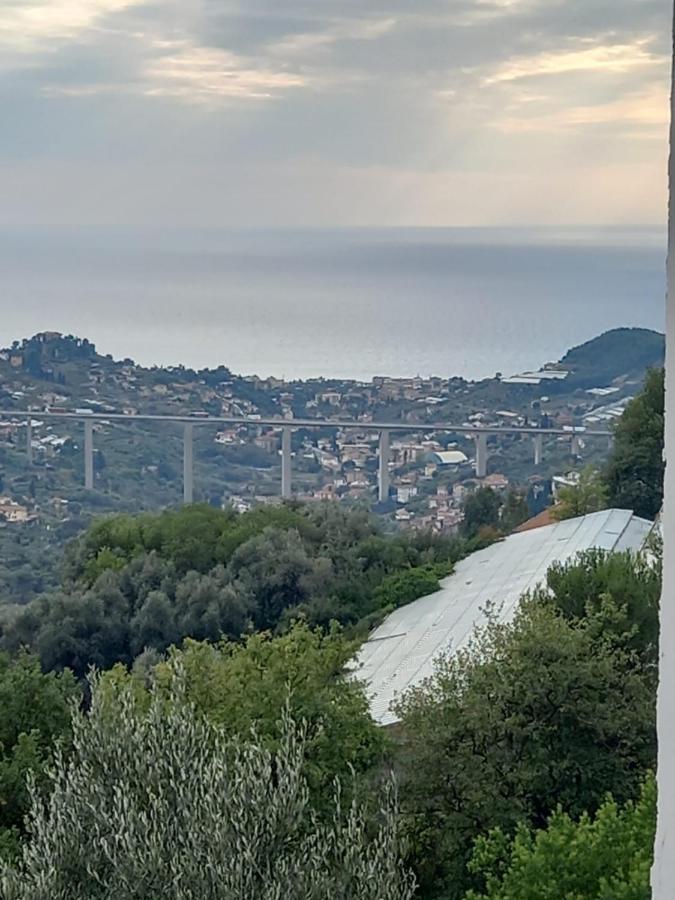 Casa Vita Lägenhet Vallebona Exteriör bild