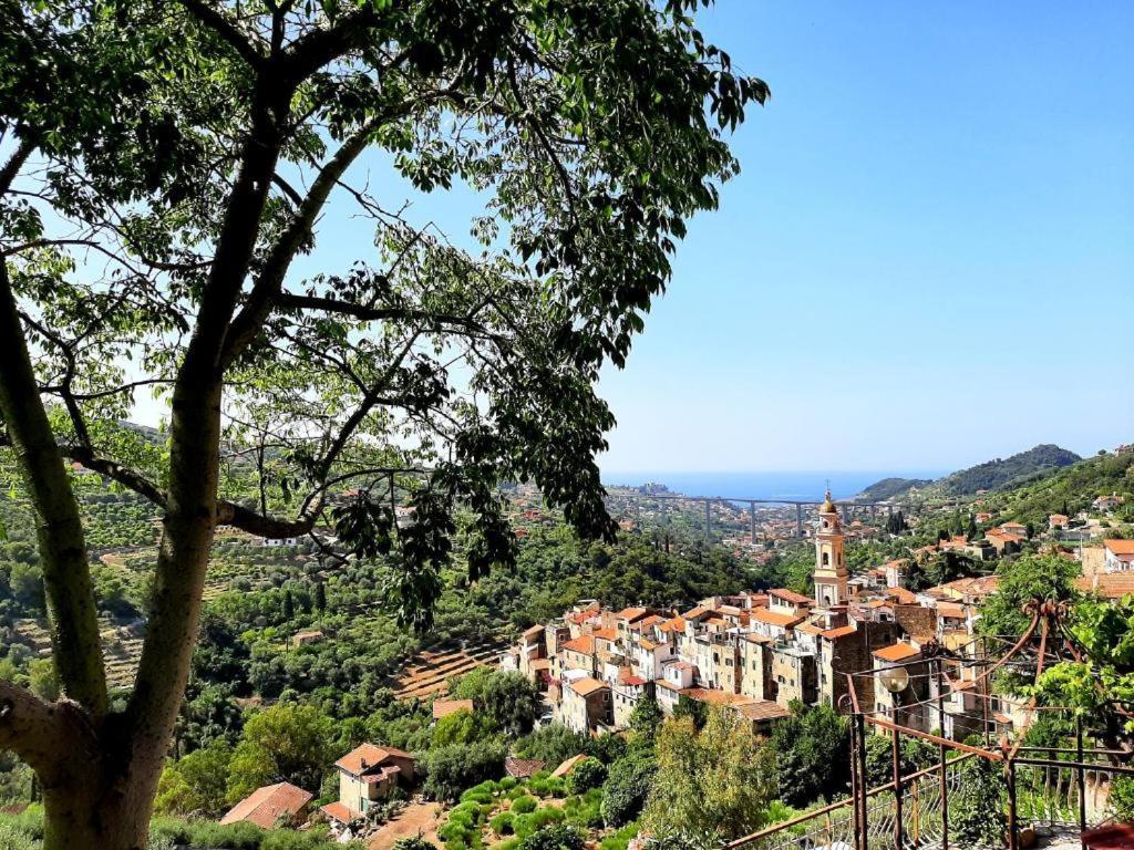Casa Vita Lägenhet Vallebona Exteriör bild